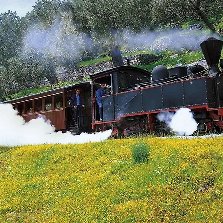 Harmony Pelion Σπίτι διακοπών Πλατανίδια